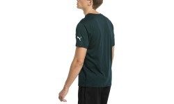 Puma T-krekls Energy Triblend Tee Pondero Green 517320 06