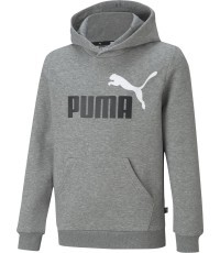 Puma Džemperis Paaugliams Ess + 2 Col Big Logo Grey 586987 03