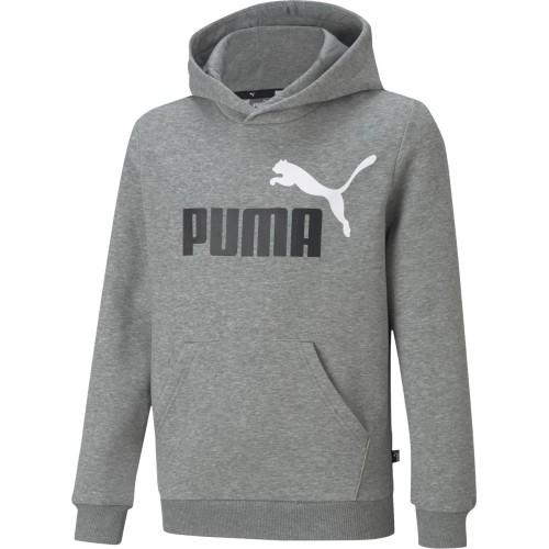 Puma Džemperis Paaugliams Ess + 2 Col Big Logo Grey 586987 03