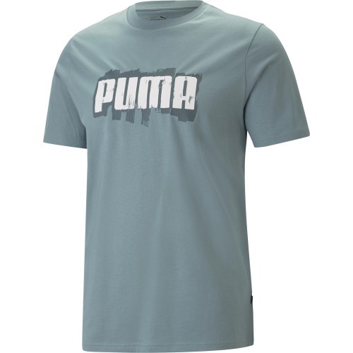 Мужская футболка Puma Graphics Wording Tee зелёная 674475 84