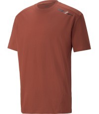 Puma Rad/Cal Tee vīriešu T-krekls Chili Brown 847432 23