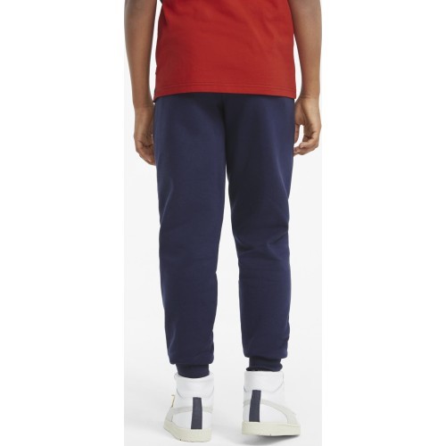 Подростковые брюки Puma Ess+ 2 Col Logo Blue 586988 96