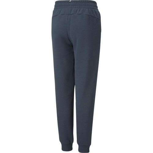 Puma bikses pusaudžiem Ess + 2 Col Logo Pants Blue 586988 16