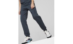Puma bikses pusaudžiem Ess + 2 Col Logo Pants Blue 586988 16