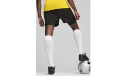 Puma TeamGoal 2in1 Football Shorts Black 658774 03
