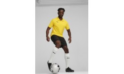 Футбольные шорты Puma TeamGoal 2in1, чёрные 658774 03