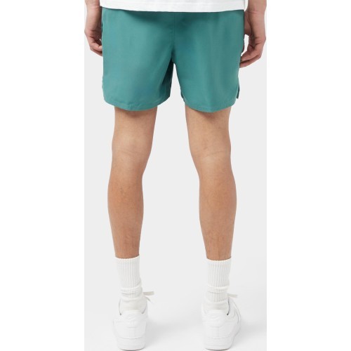 Мужские плавательные шорты Nike 5" Volley Short Green NESSA560 302
