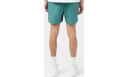 Nike Men's Swim Shorts 5" Volley Short Green NESSA560 302