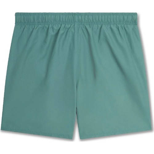 Nike vīriešu peldšorti 5" Volley Short Green NESSA560 302