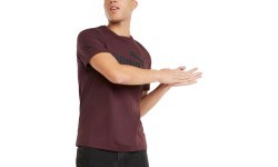 Puma Ess Logo Tee men's T-shirt, bordeaux