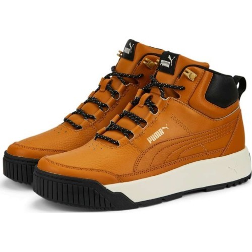 Мужские кроссовки Puma Tarrenz SB Desert Tan Brown 386392 02