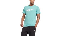 Reebok men's GS Vector Tee, mint HI6296