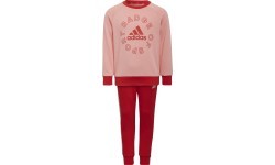 Спортивный костюм для девочек Adidas LK Logo Jog Set, красный/розовый, H65799