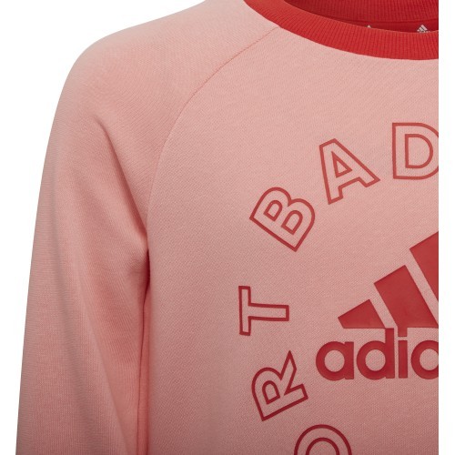 Спортивный костюм для девочек Adidas LK Logo Jog Set, красный/розовый, H65799