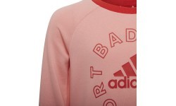 Спортивный костюм для девочек Adidas LK Logo Jog Set, красный/розовый, H65799
