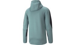 Мужская толстовка Puma Evostripe Full-Zip, мятная, 847401 50