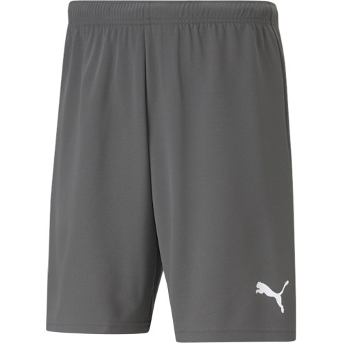 Puma Teamrise vīriešu šorti, pelēki 704942 13