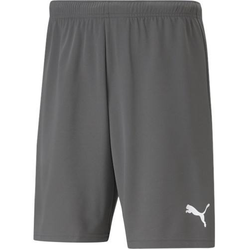 Puma Teamrise Men's Shorts Grey 704942 13