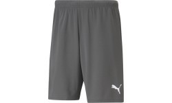 Puma Teamrise vīriešu šorti, pelēki 704942 13