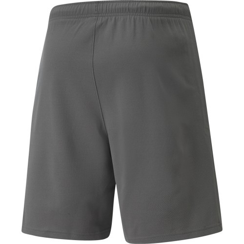 Puma Teamrise vīriešu šorti, pelēki 704942 13