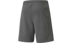 Puma Teamrise vīriešu šorti, pelēki 704942 13