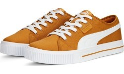 Puma Ever FS CV vīriešu apavi Desert Clay Brown 386393 05