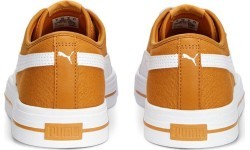 Мужская обувь Puma Ever FS CV Desert Clay Brown 386393 05