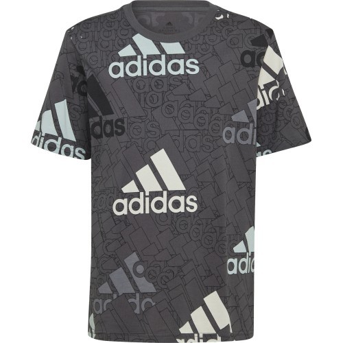 Adidas T-krekls zēniem U BL Logo Tee Grey HP0819