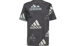 Футболка для мальчиков Adidas U BL Logo Tee Grey HP0819