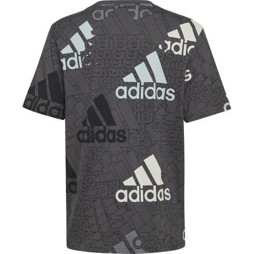 Adidas Boys' U BL Logo Tee Grey HP0819