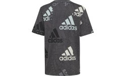 Adidas T-krekls zēniem U BL Logo Tee Grey HP0819