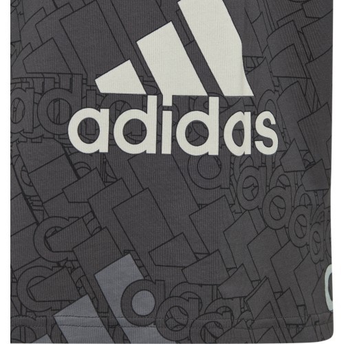 Adidas T-krekls zēniem U BL Logo Tee Grey HP0819