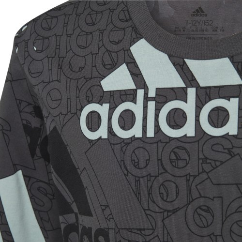 Adidas T-krekls zēniem U BL Logo Tee Grey HP0819