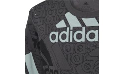 Adidas T-krekls zēniem U BL Logo Tee Grey HP0819