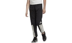 Adidas Yb Sid Pant Trousers Black ED6517