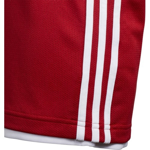 Adidas bērnu šorti 3G Speed Reversible sarkani balti DY6627
