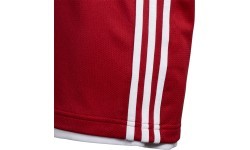 Adidas bērnu šorti 3G Speed Reversible sarkani balti DY6627