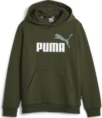 Puma Džemperis Paaugliams Ess + 2 Col Big Logo Green 586987 31