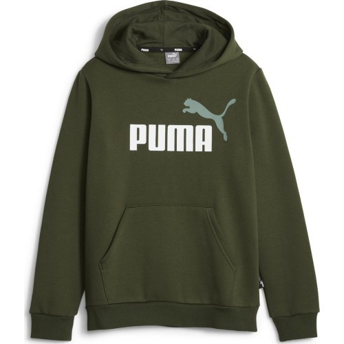 Puma Džemperis Paaugliams Ess + 2 Col Big Logo Green 586987 31