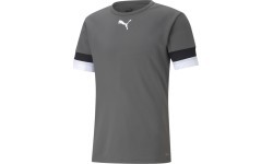 Мужская футбольная футболка Puma TeamRise Jersey, серая, 704932 13