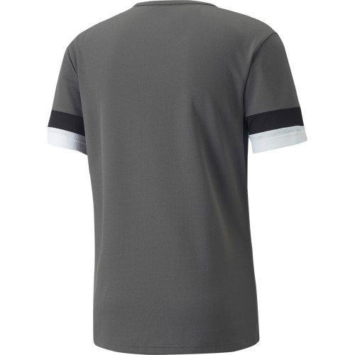 Puma TeamRise Jersey vīriešu futbola krekls, pelēks, 704932 13