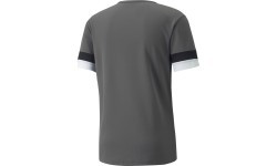 Мужская футбольная футболка Puma TeamRise Jersey, серая, 704932 13