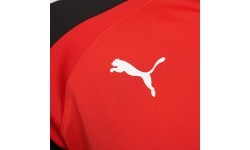 Puma vīriešu džemperis TeamLiga 1/4 Zip Top Red Black 657236 01