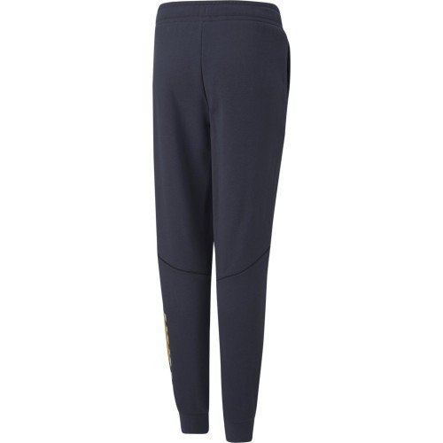 Puma Sportinės Kelnės Paaugliams Active Sports Sweatpants Tr Navy 670076 43