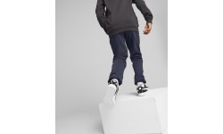 Puma Sportinės Kelnės Paaugliams Active Sports Sweatpants Tr Navy 670076 43