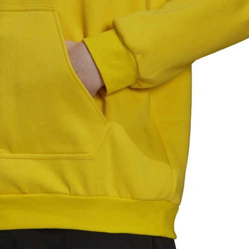 Sweatshirt Adidas Entrada 22 Hoody, Yellow