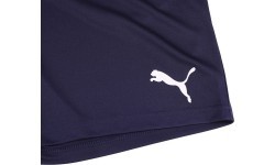 Puma vīriešu šorti Teamrise Short Peacoat Blue 704942 06