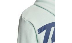 Adidas Cat Graph Hood džemperis, zaļš, FM1192