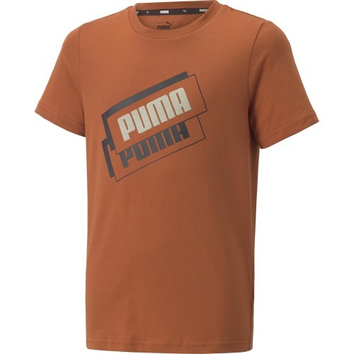 Футболка подростковая Puma Alpha Holiday Tee Orange 670109 64