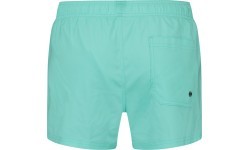 Puma peldšorti vīriešiem Swim Men Green 907658 19